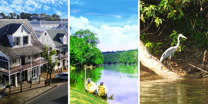vacation packages to suriname