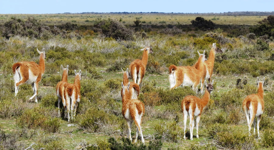 patagonia vacations and tours