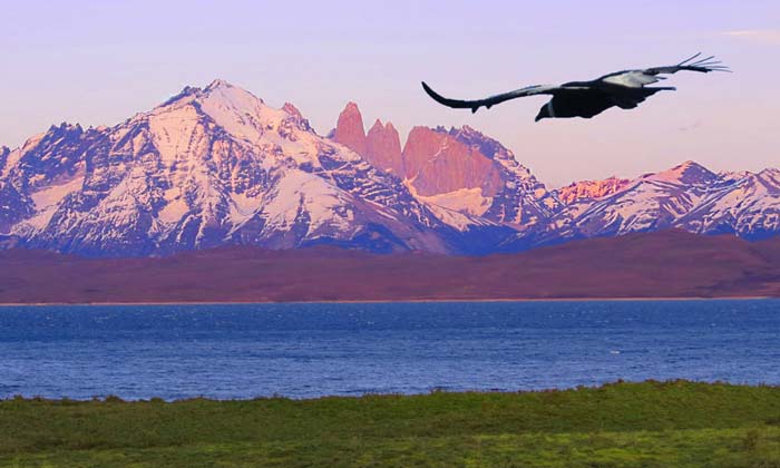 Patagonia vacation deals