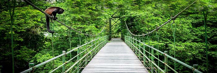 costa rica vacations deals and tours
