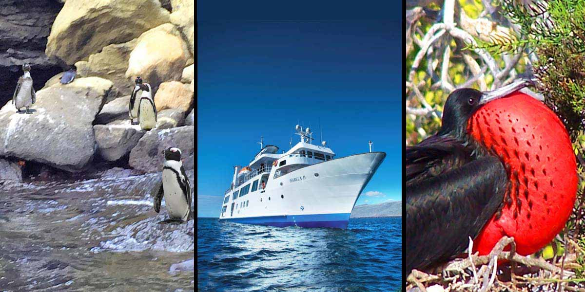 best deals vacation packages to galapagos 