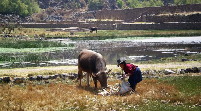 cuzco and machu picchu vacations